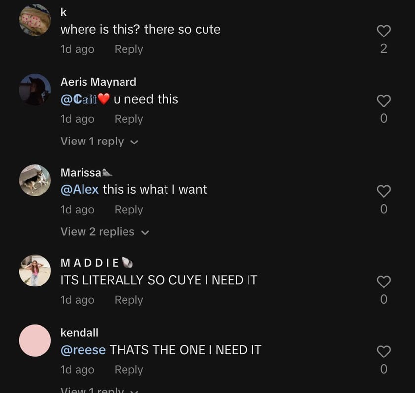 TikTok's pink ghost blanket Price, where to buy and everything to know