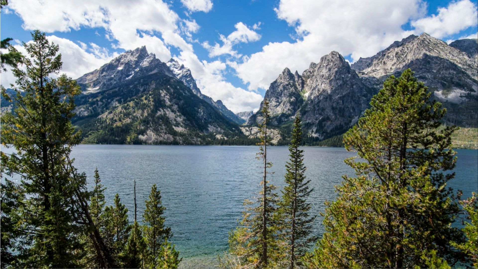 Joy Cho died during hiking in the Grand Teton National Park. (Photo via Getty Images)