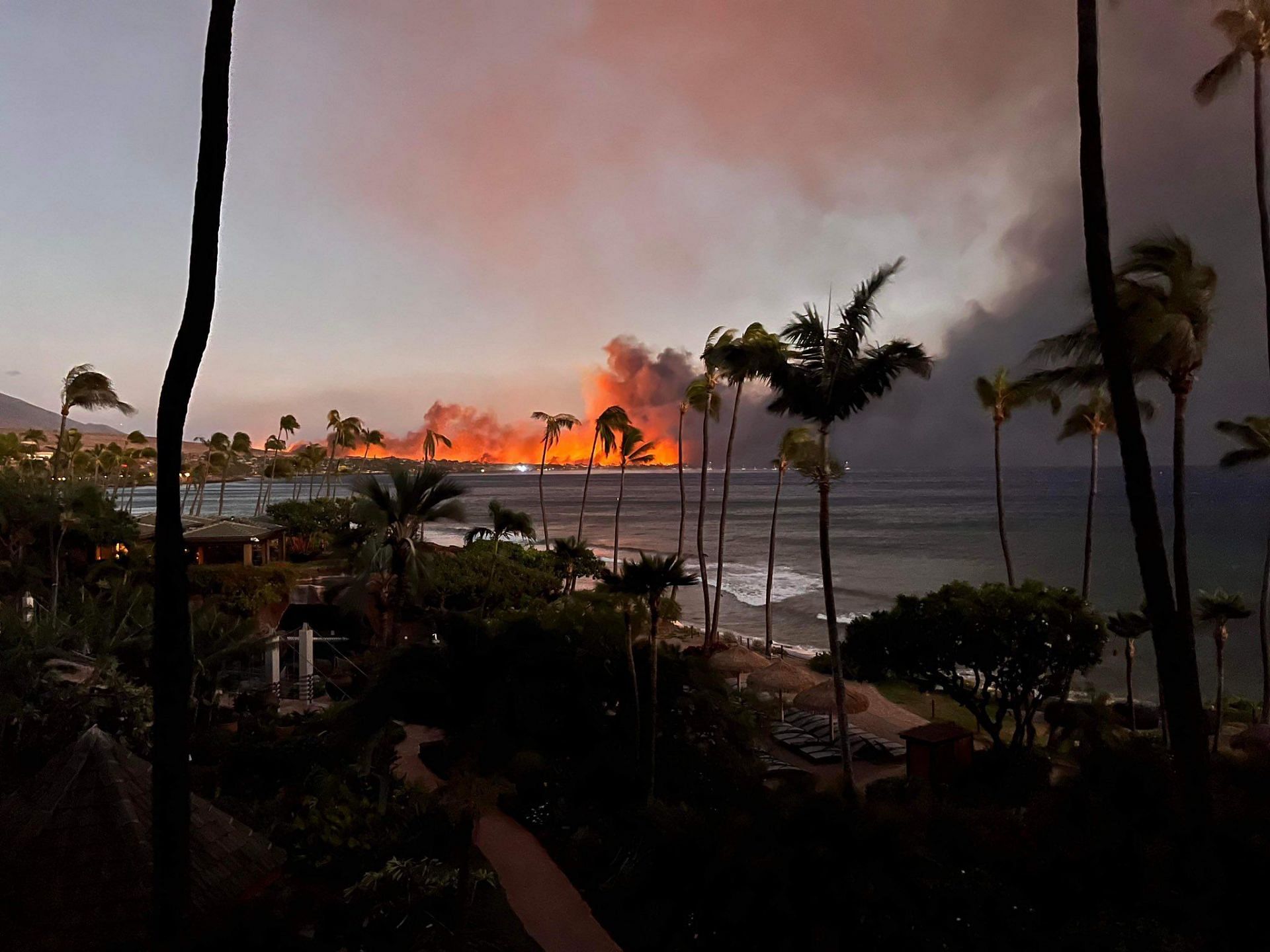 A photo taken from the Hyatt Regency hotel balcony (Image via Twitter/@thesolarqueen)