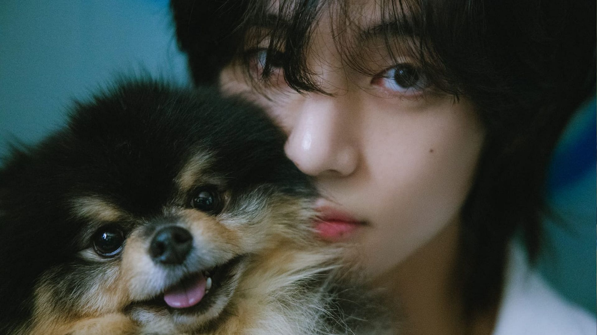 BTS member Kim Taehyung aka V to release his solo album 'Layover