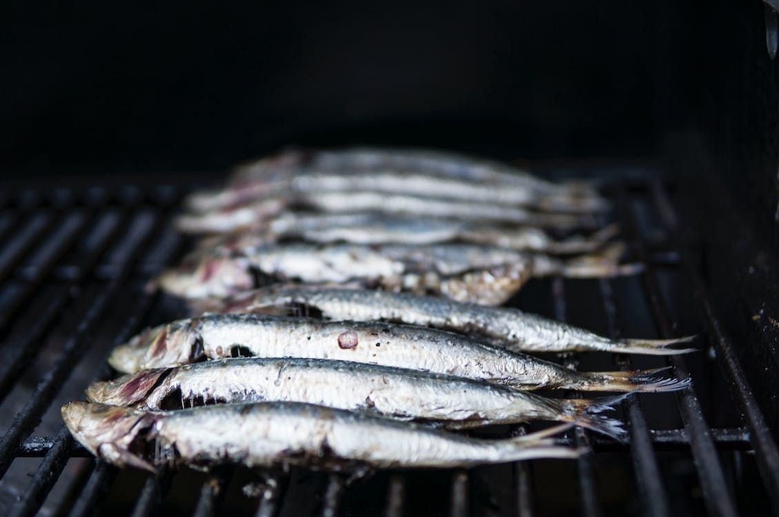 Sardines are a versatile complement to any diet because they are high in important nutrients and have numerous health advantages (Elle Hughes/ Pexels)