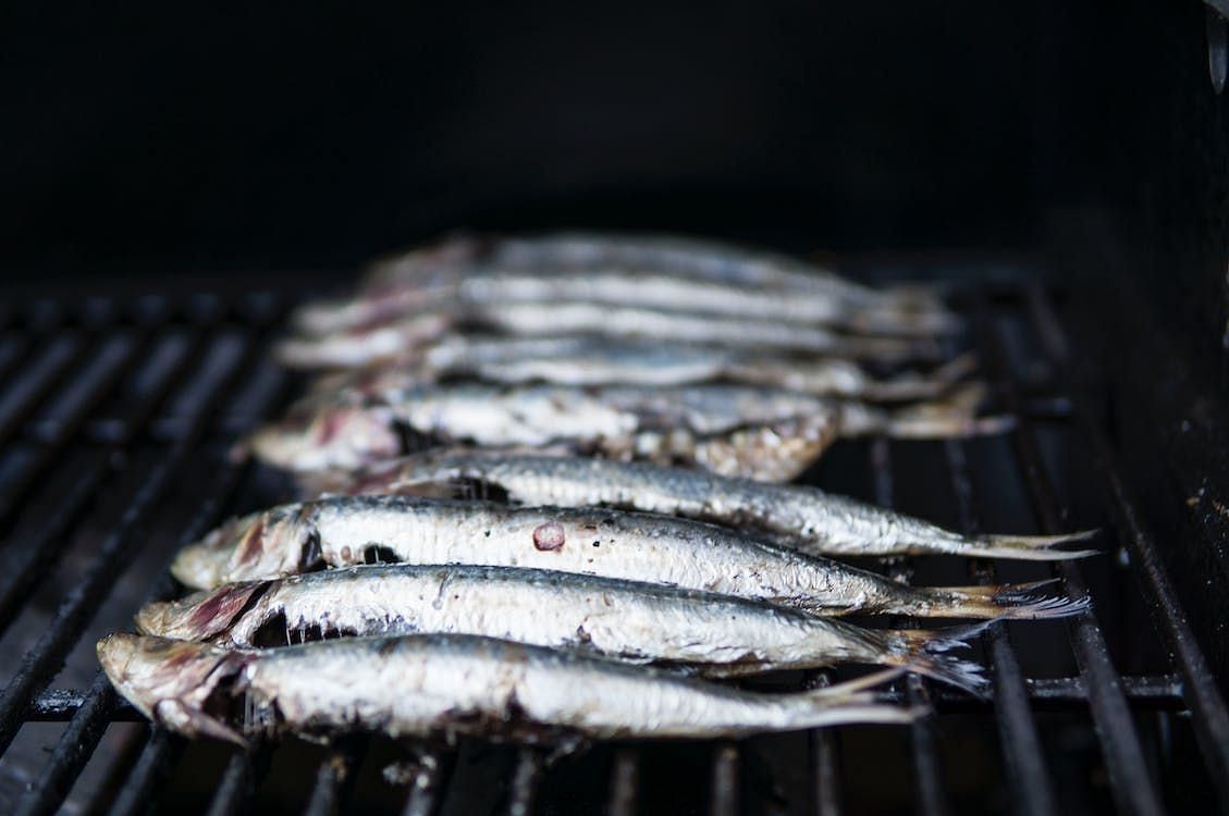 Sardines 101: Health benefits and beyond