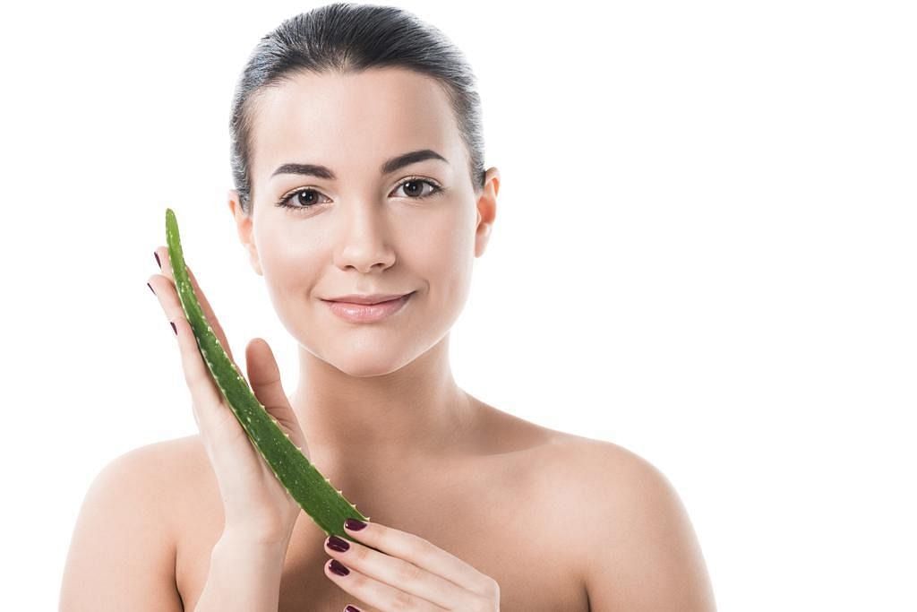 Aloe vera for sunburn (Image via Getty Images)