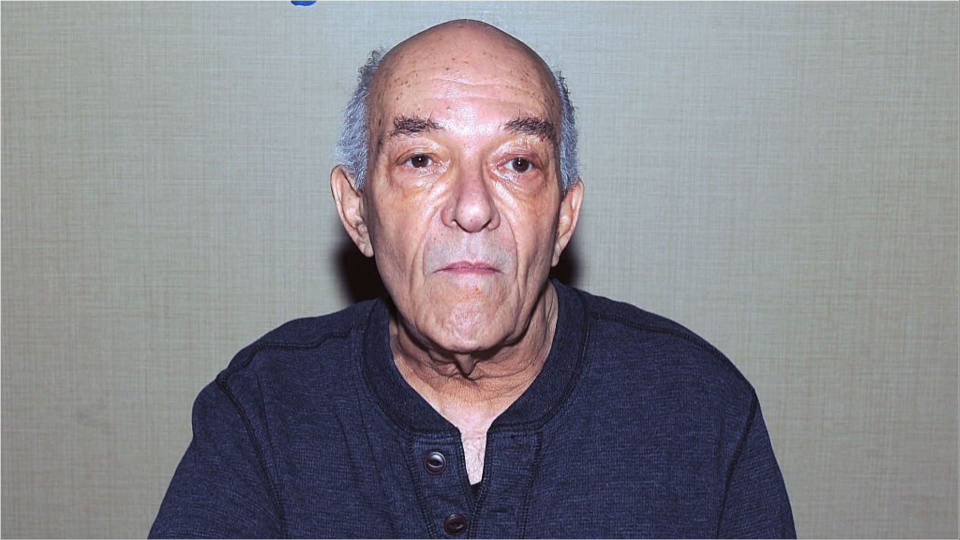Mark Margolis accumulated a lot of wealth from his performances in films and TV shows (Image via Bobby Bank/Getty Images)