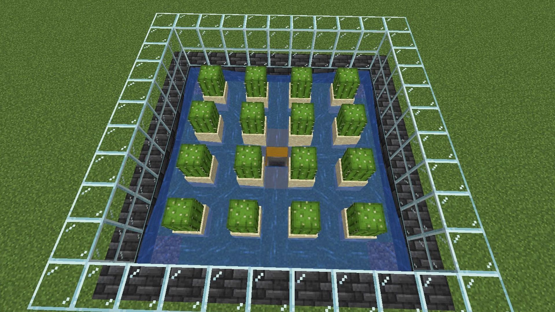 Cacti farm in Minecraft (Image via Mojang Studios)