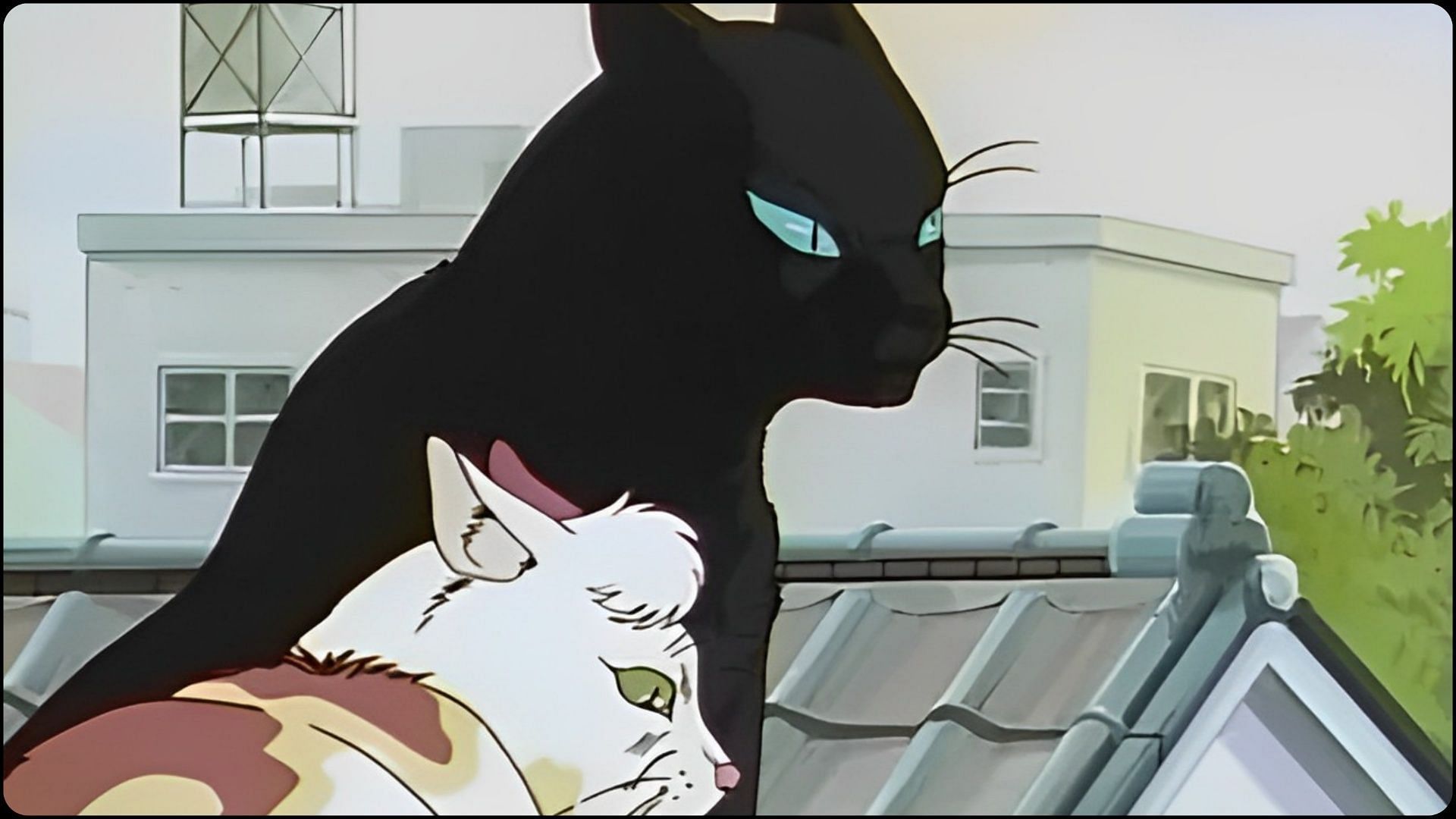 Why does the Dark Cat anime remain one of the biggest disasters as an original series? Explained (Image via Agent 21 Studio/ Nikkatsu Corporation)