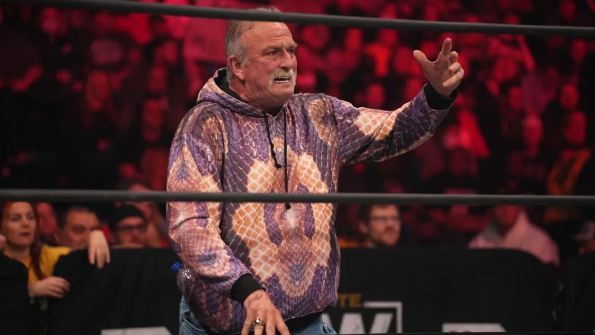 Jake Roberts is a WWE Hall of Famer. 