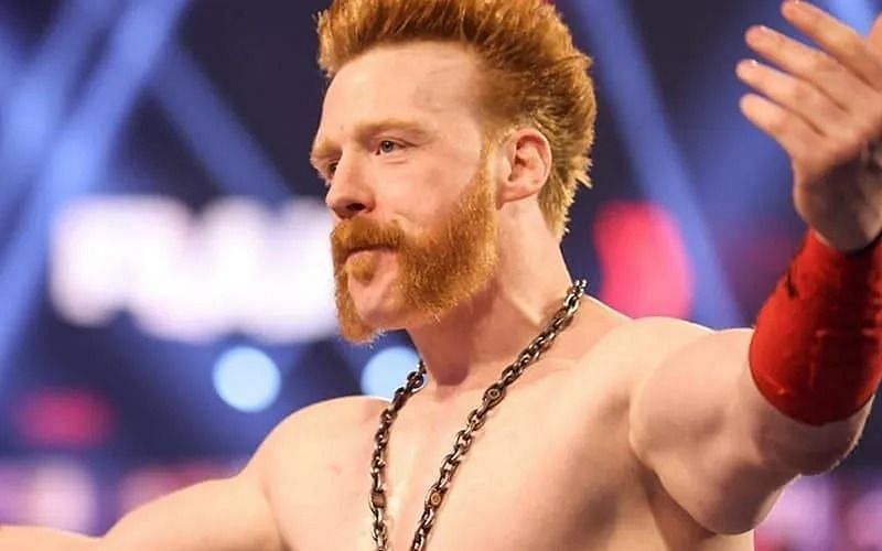 Sheamus is the leader of the Brawling Brutes faction in WWE
