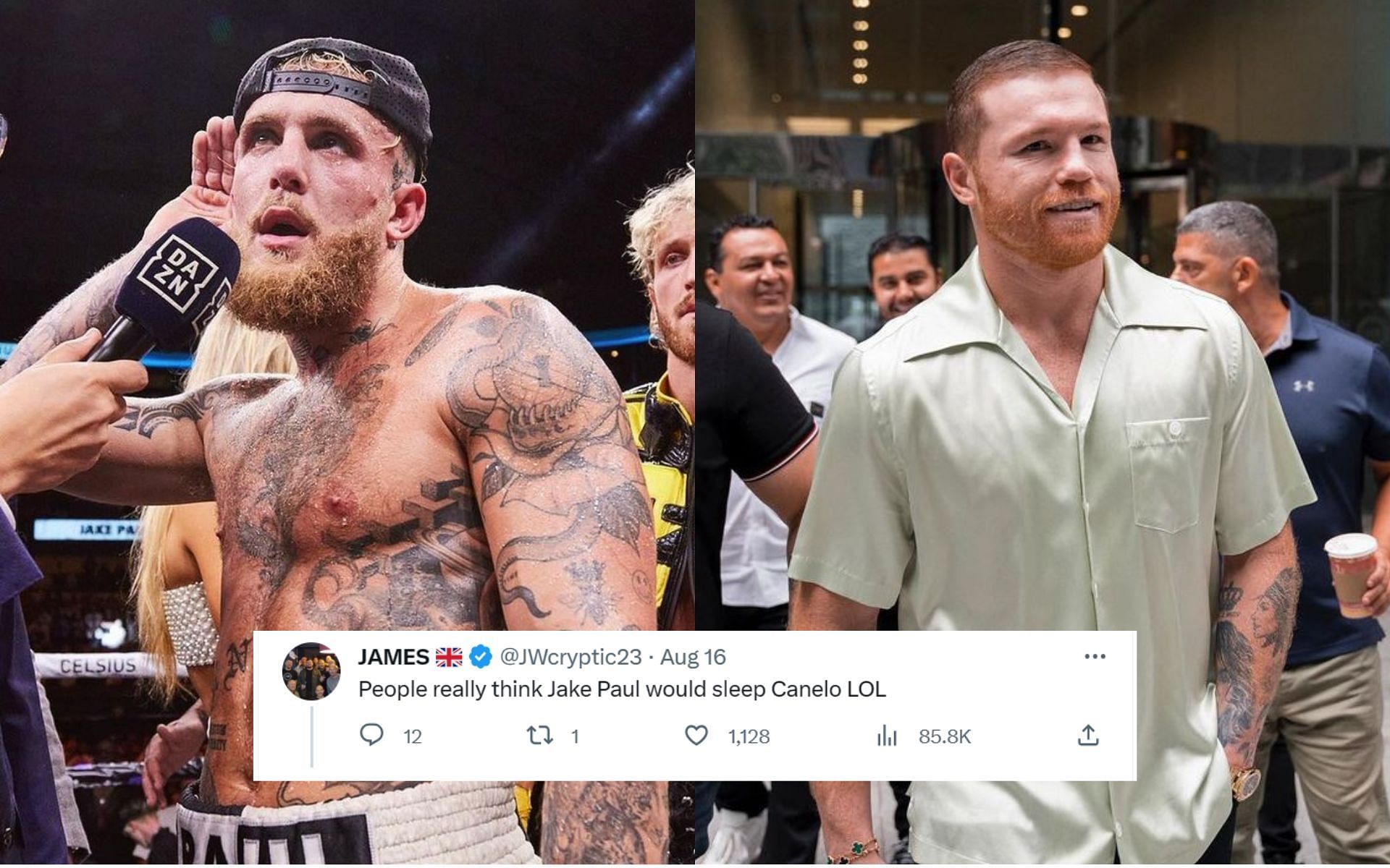 Jake Paul (left) and Canelo Alvarez (right) (Image credits @jakepaul and @canelo on Instagram)