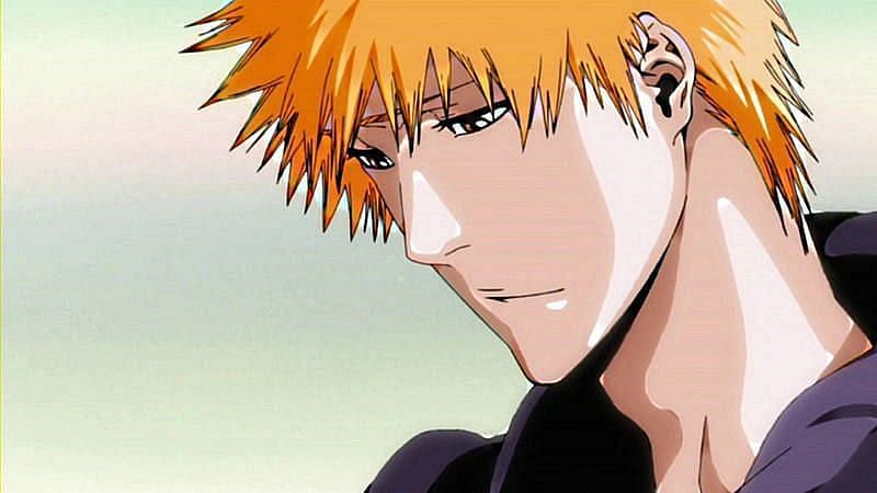 Hitsugaya's Decision! The Clash Approaches, Bleach Wiki