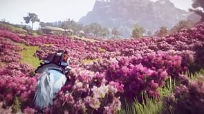 Best in slot weapons and armor in Black Desert Online