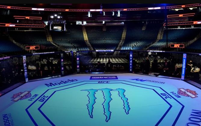 How many fighters are debuting at UFC Paris? Here are all their names, ages, and MMA records