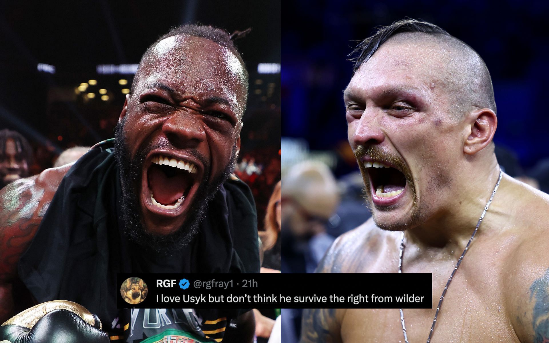 Oleksandr Usyk Vs Deontay Wilder: Who Wins If Deontay Wilder Takes On ...