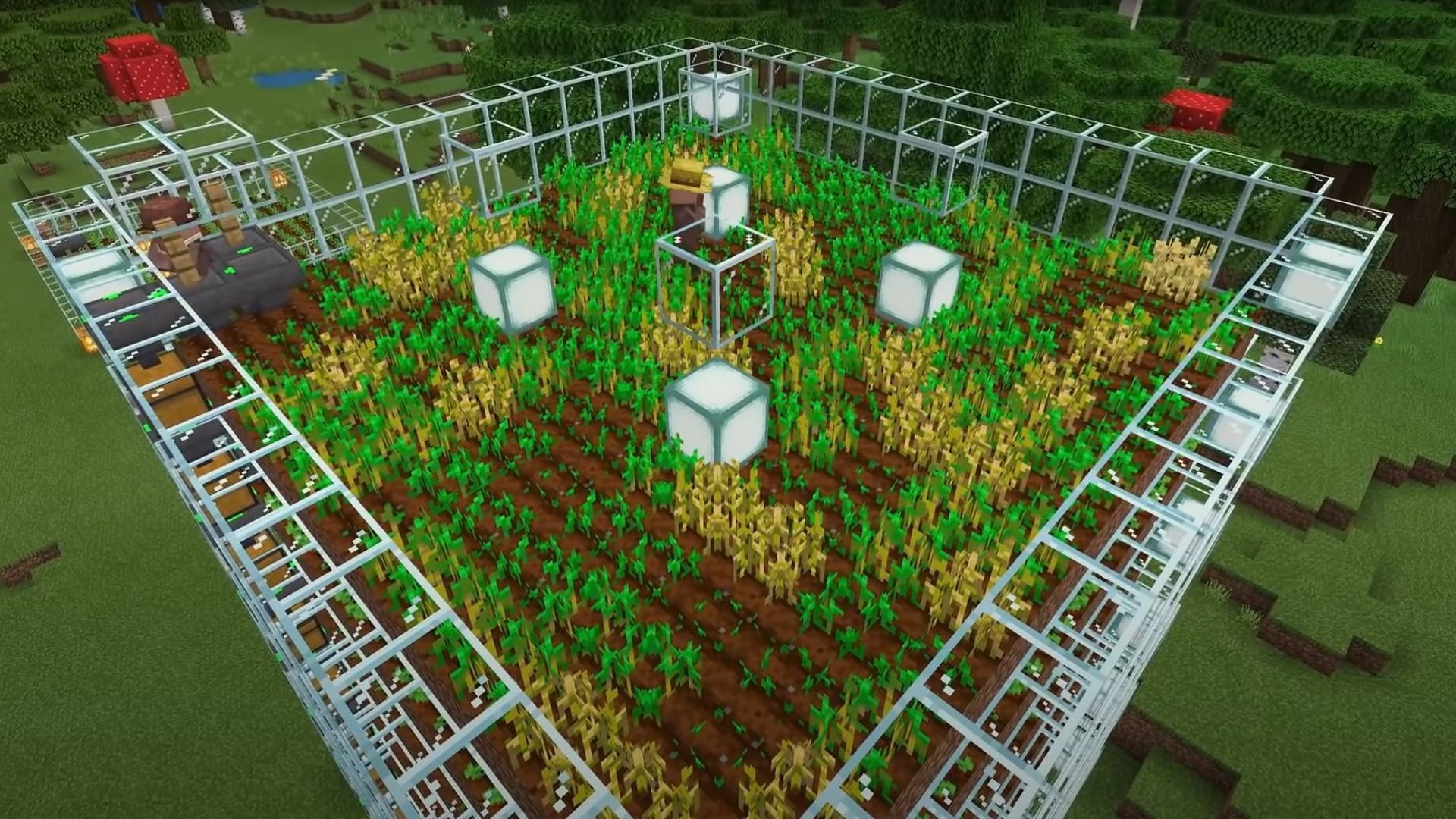 Crop farm (Image via Mojang Studios)
