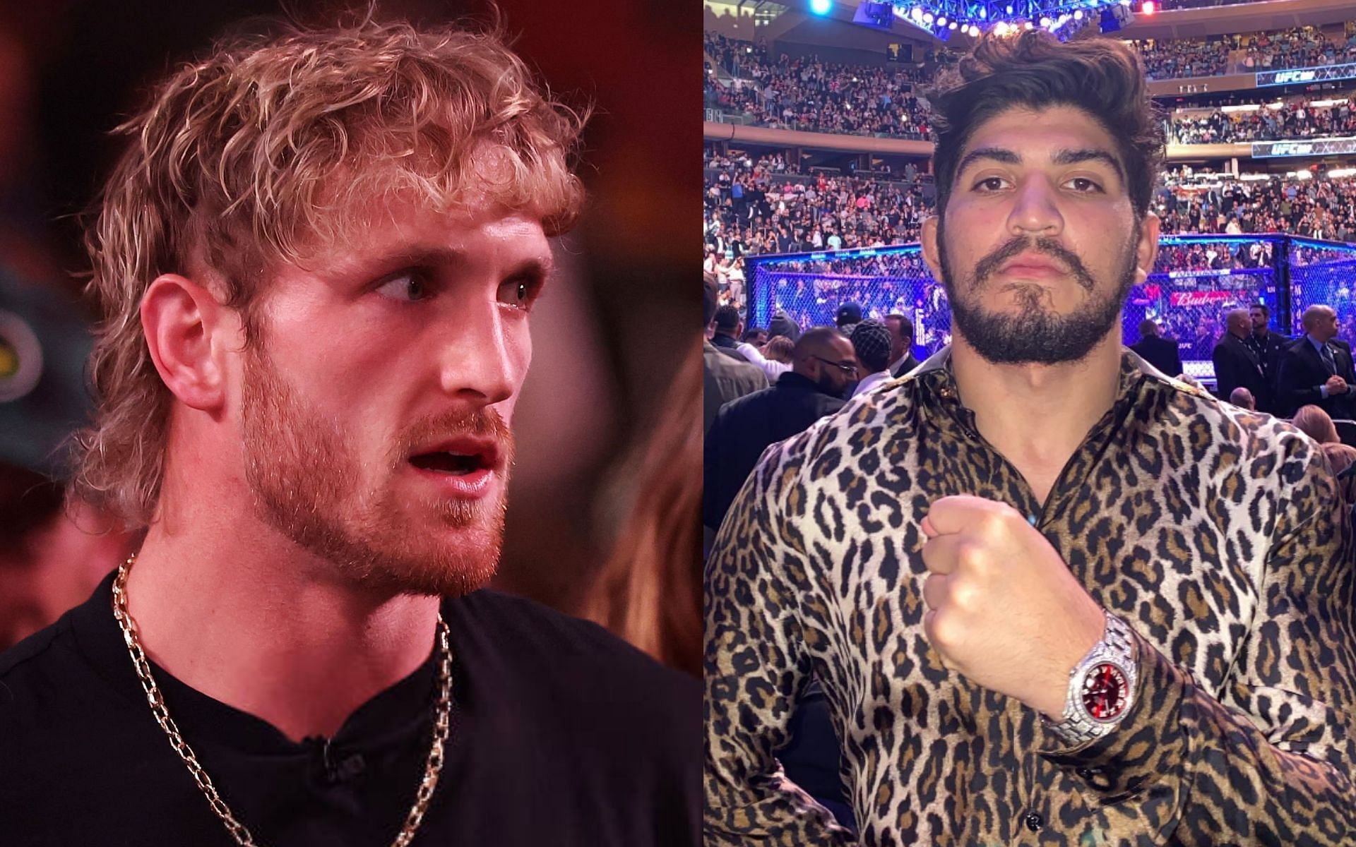 Logan Paul (left) and Dillon Danis (right) [Images Courtesy: @GettyImages and @dillondanis on Instagram]