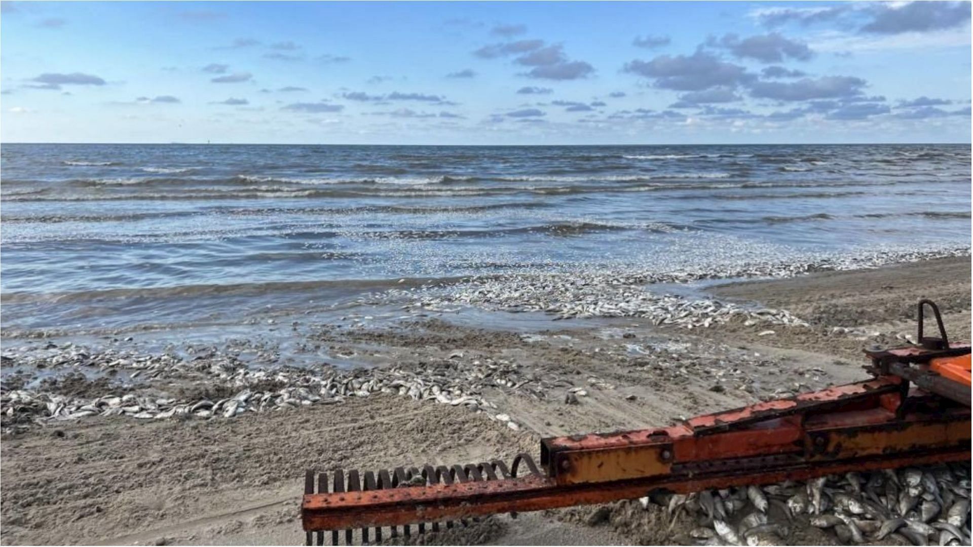 Harold will be hitting South Texas by Tuesday (Image via Quintana Beach County Park/Getty Images)