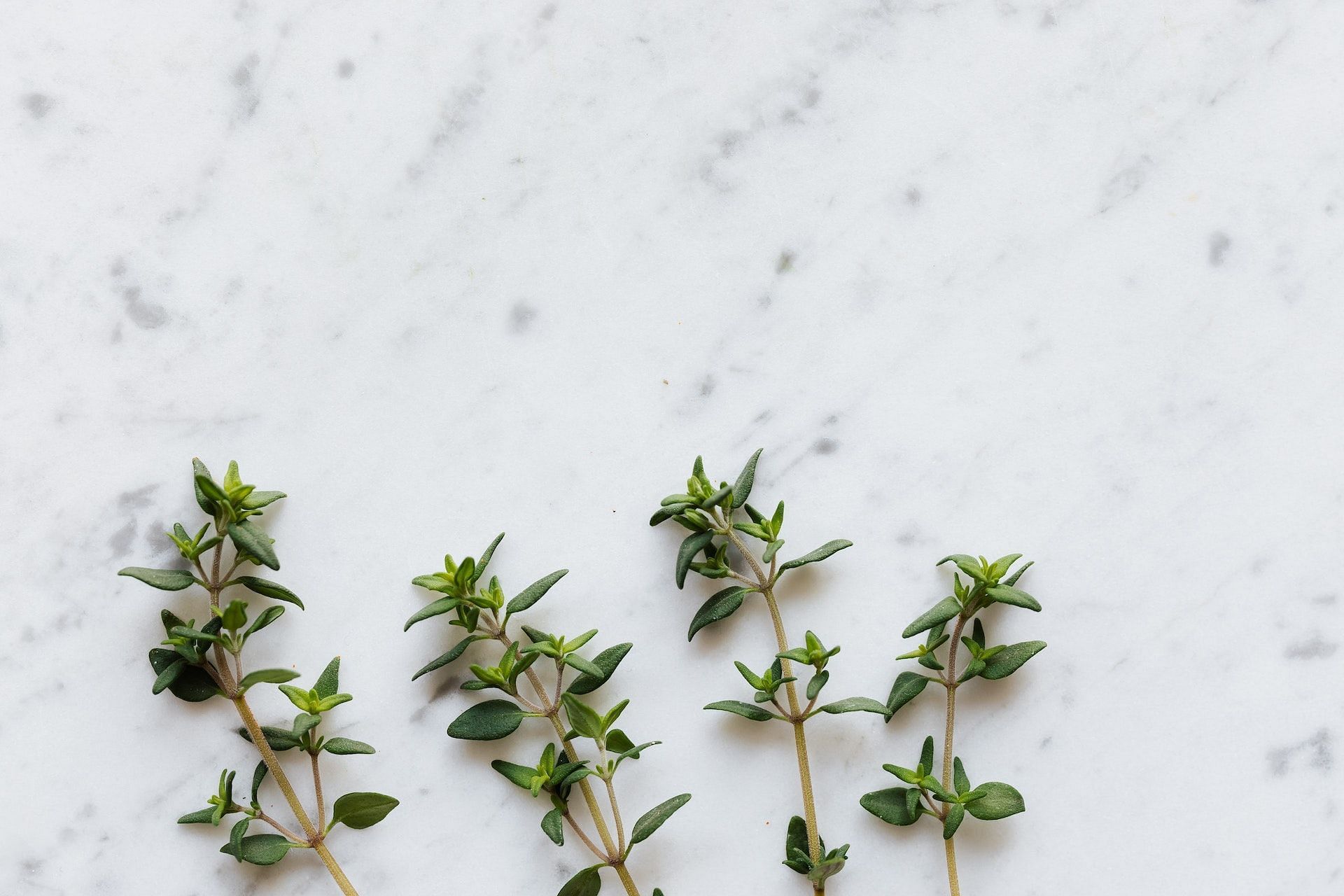 Thyme is a flavorful herb. (Photo via Pexels/Karolina Grabowska)