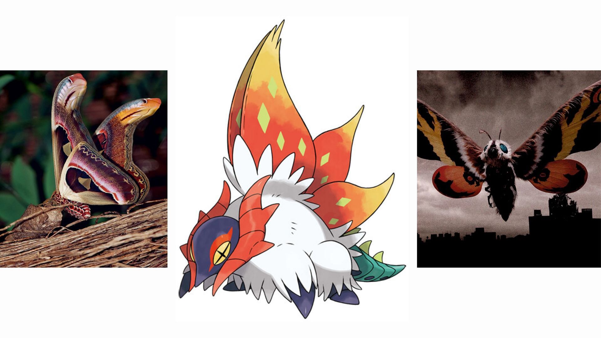 The Atlas Moth and Mothra (Image via The Pokemon Company)