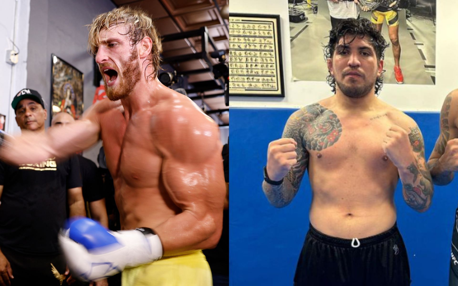 Logan Paul (left) and Dillon Danis (right) (Image credits Getty Images and @dillondanis on Instagram)