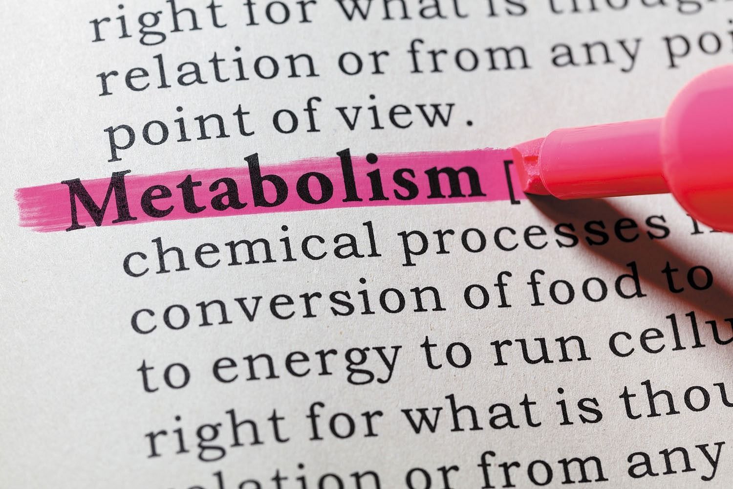 Slowed metabolism (Image via Harvard Health)