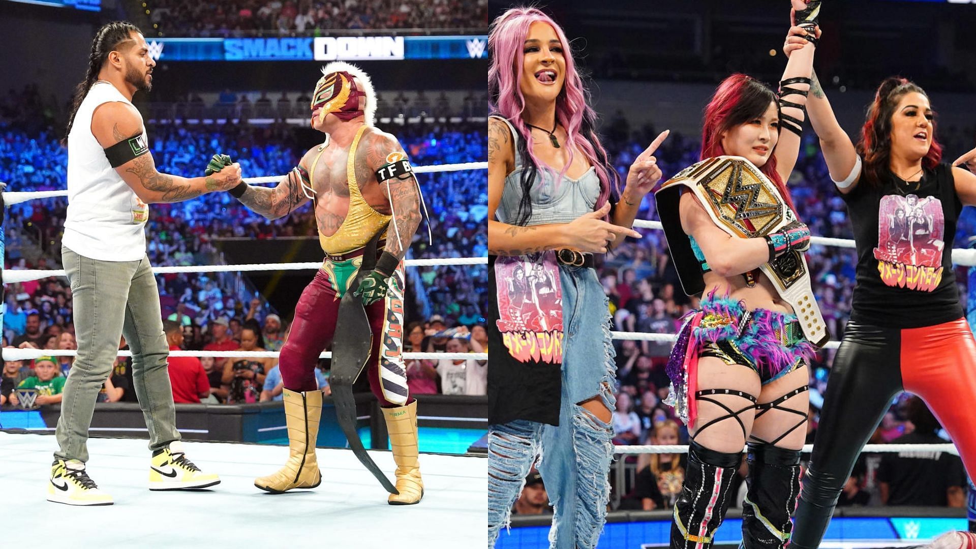 subtly_smackdown wwe