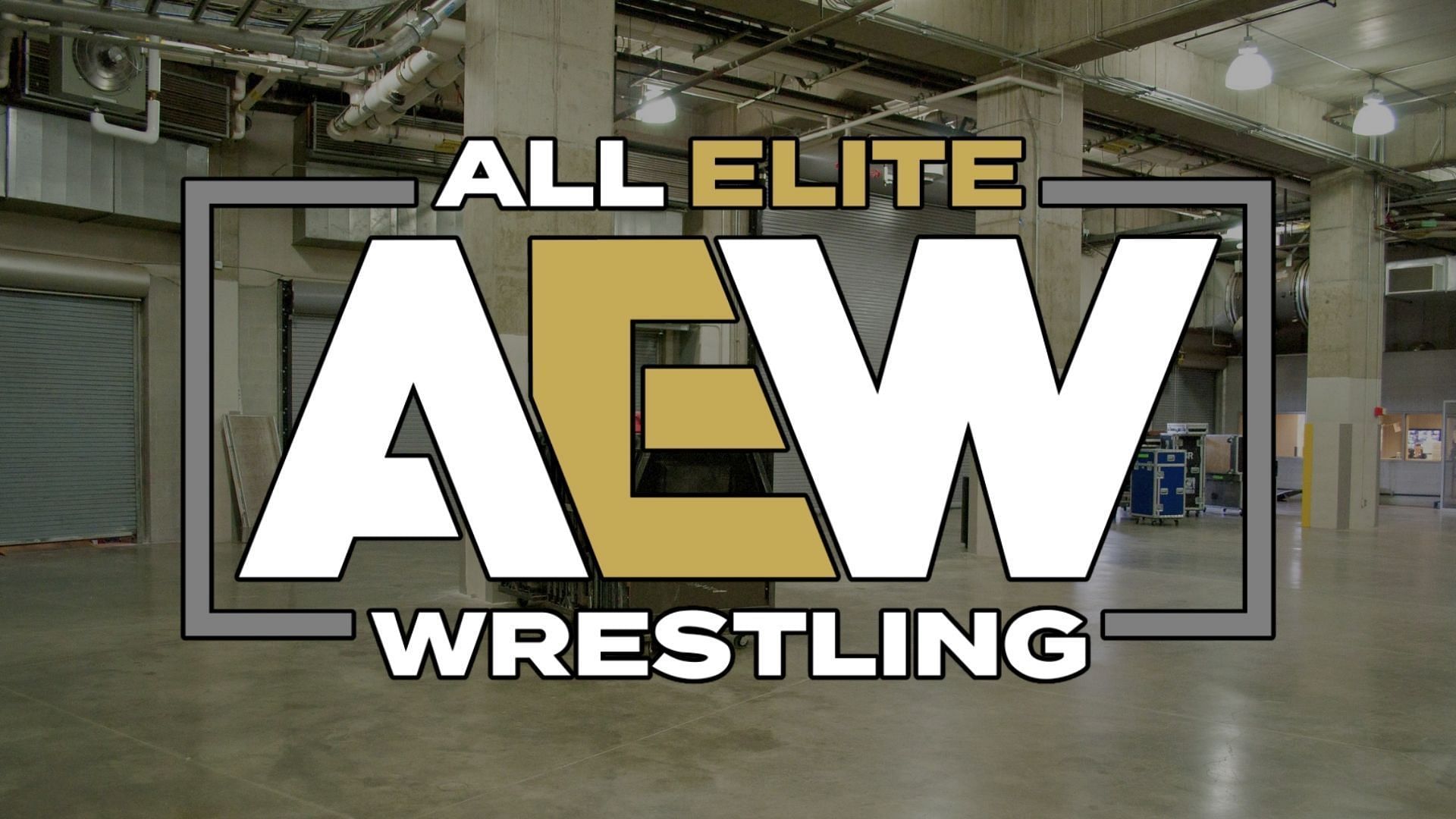 A WWE legend shares his first impressions of AEW