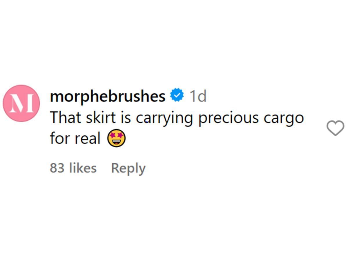 Fans appreciate Christina Aguilera pink Birkin bag skirt (Image via @xtina/Instagram)