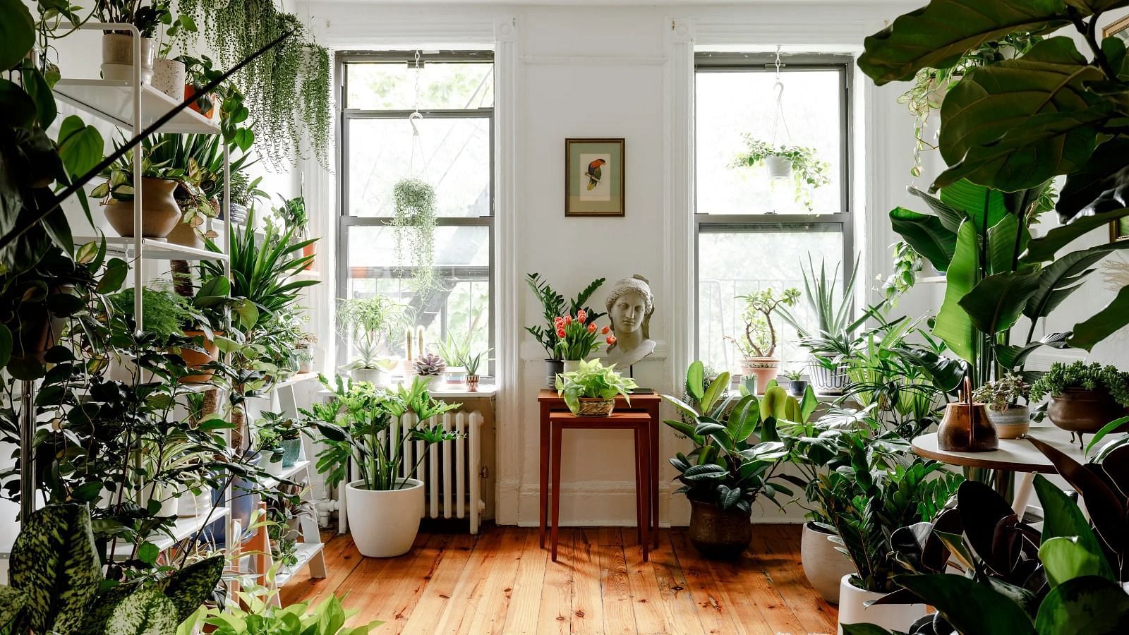 Indoor natural spaces (Image via Getty Images)