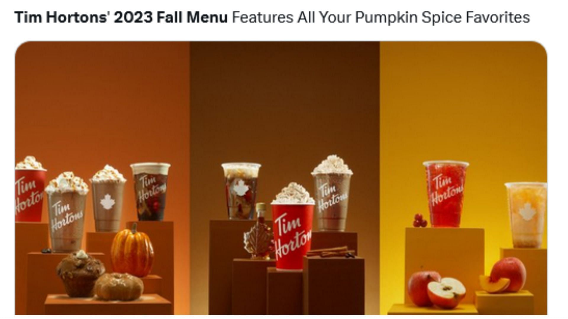 Tim Hortons Canada Pumpkin Spice & Fall Menu 2023 - Foodgressing