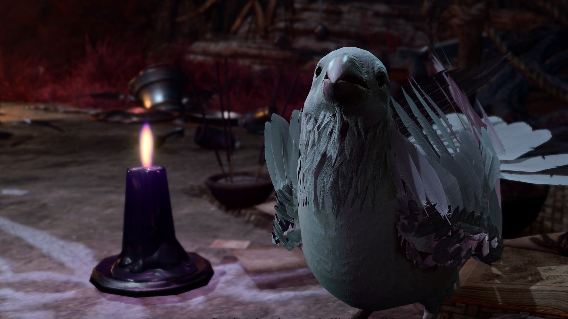 The letters involve finding the pigeons (Image via Larian)