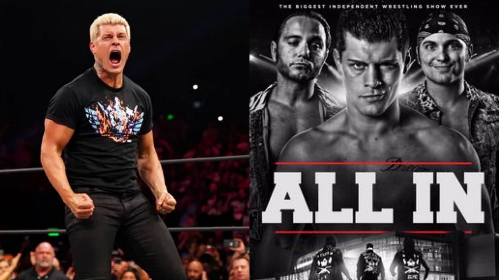 Cody Rhodes and Young Bucks organised the biggest Independent Wrestling Show, All In, in 2018