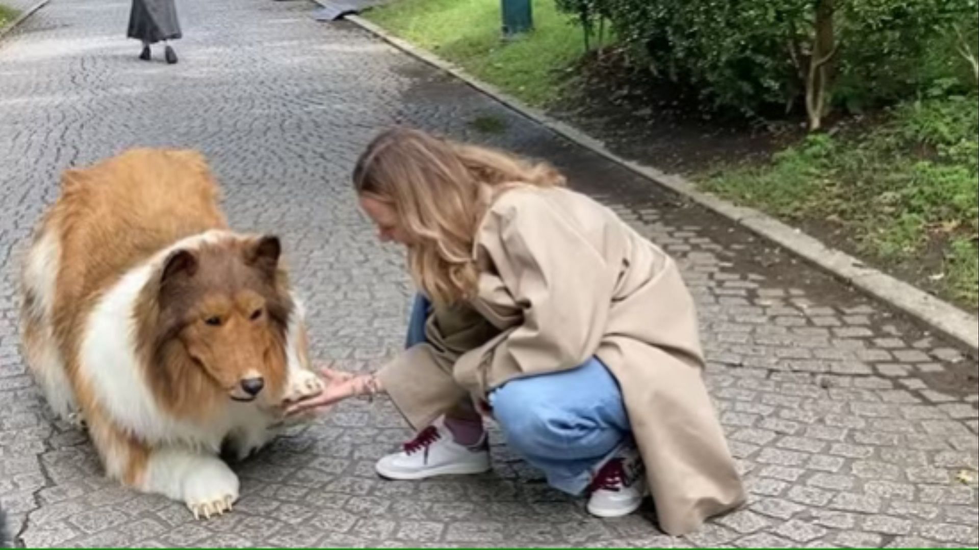 Japanese man transformed as a dog. (Image via Youtube/ I want to be an Animal)