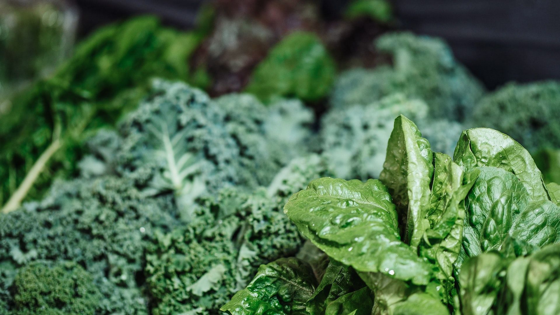 Health benefits of kale.   (Image credits: Pexels/ Kindel Media)