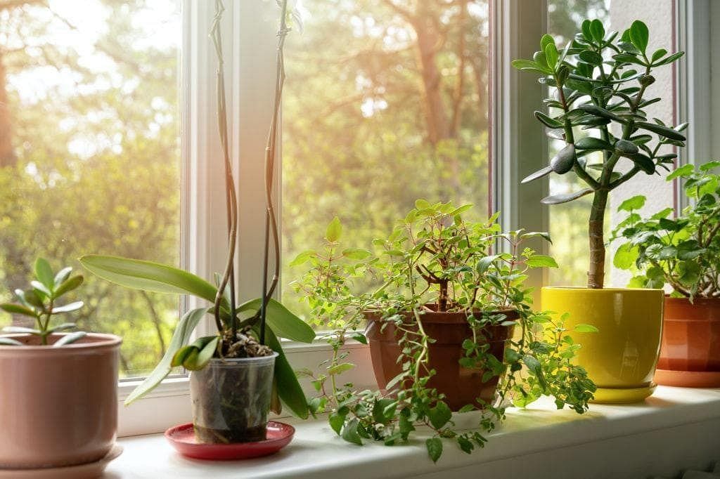 Indoor natural spaces (Image via Getty Images)