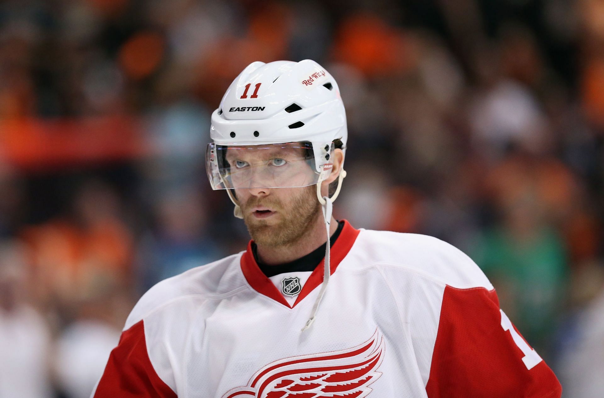 Daniel Cleary, Detroit Red Wings v Anaheim Ducks - Game Seven