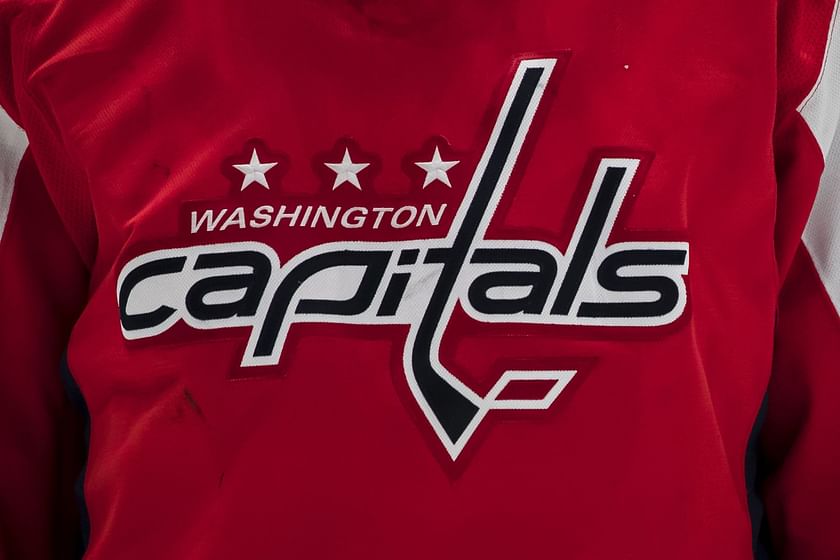 Vintage Washington Capitals Sweatshirt, Hockey Sweatshirt, V