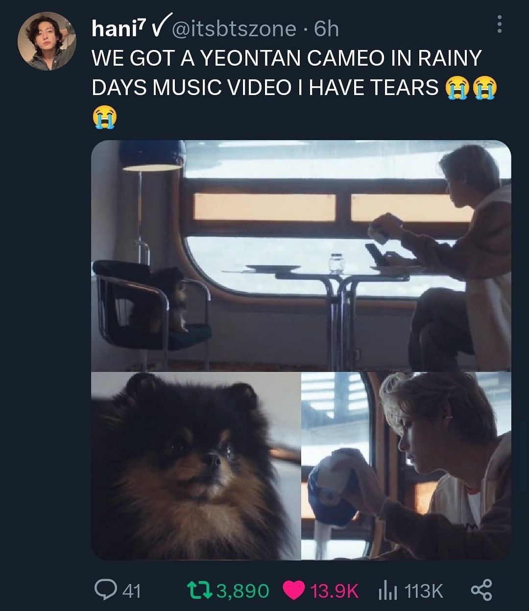 BTS's V's dog Yeontan debuts in his solo song Rainy Days - But is