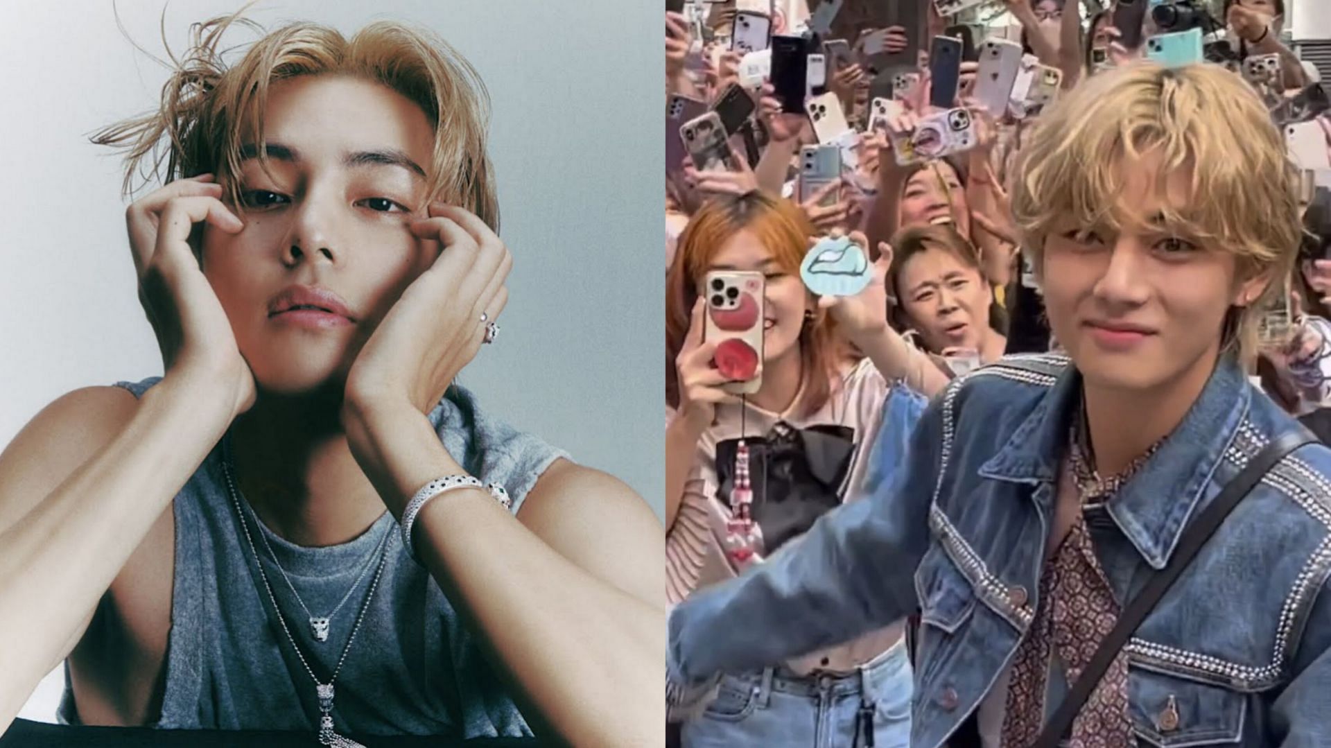 Kim Tae-hyung Impact: Fans rejoice as the singer increases CELINE's brand  value