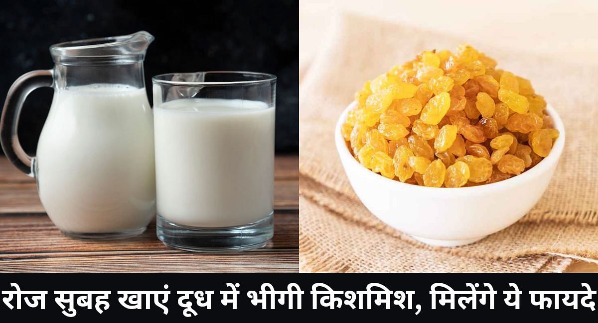 रोज सुबह खाएं दूध में भीगी किशमिश, मिलेंगे ये फायदे(फोटो-Sportskeeda hindi)