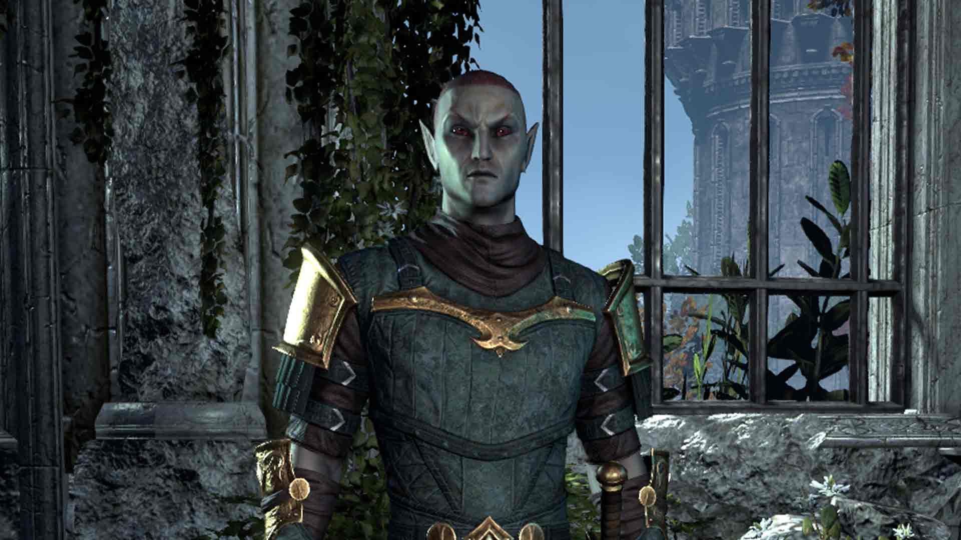 The Elder Scrolls Online - Character appearance (Image via Bethesda)