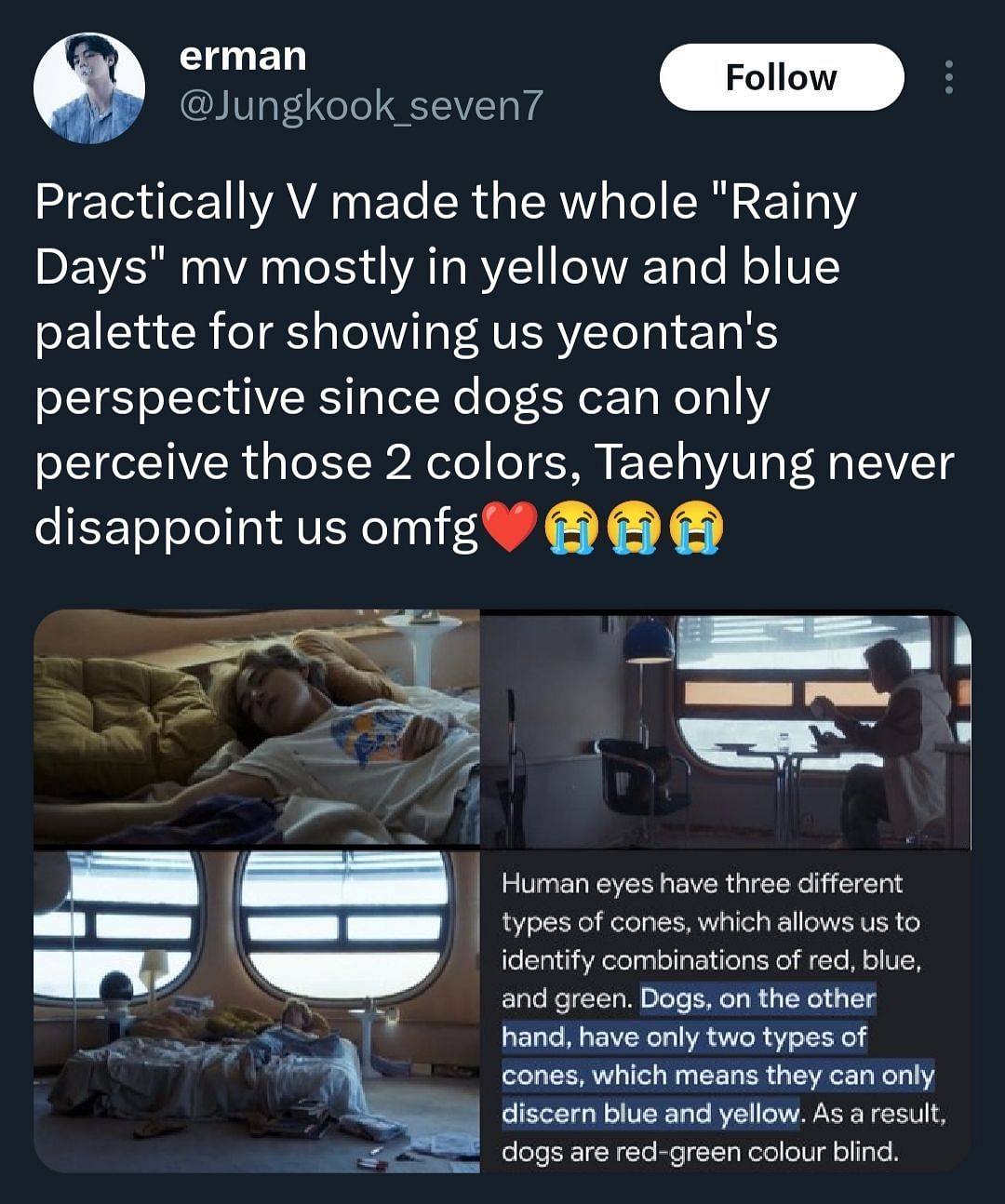 Aiming high!: Fans swell with pride as BTS' V's Rainy Days