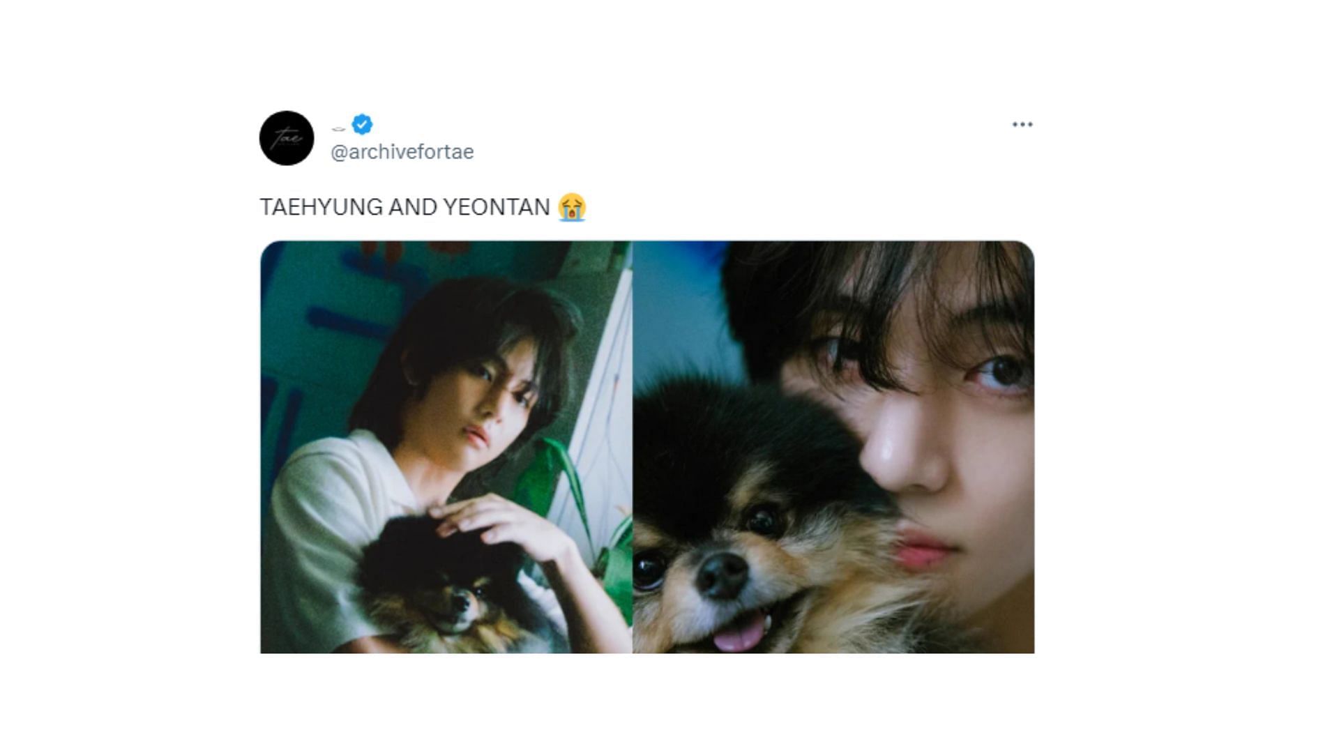 Taehyung with Yeontan (Image via Twitter/@archivefortae)