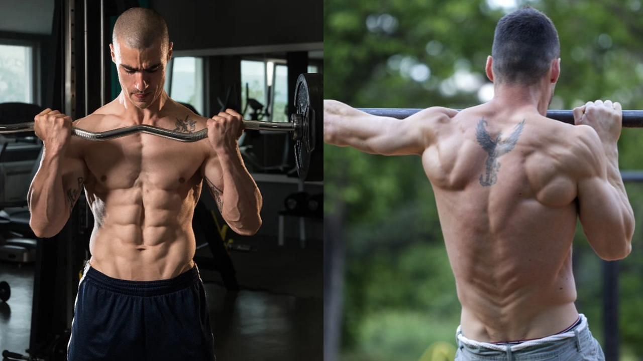 Calisthenics VS Weights Physique: Which is Better?