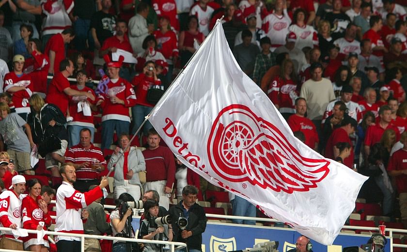 Detroit Red Wings Stanley Cup Championship Banner Flag 