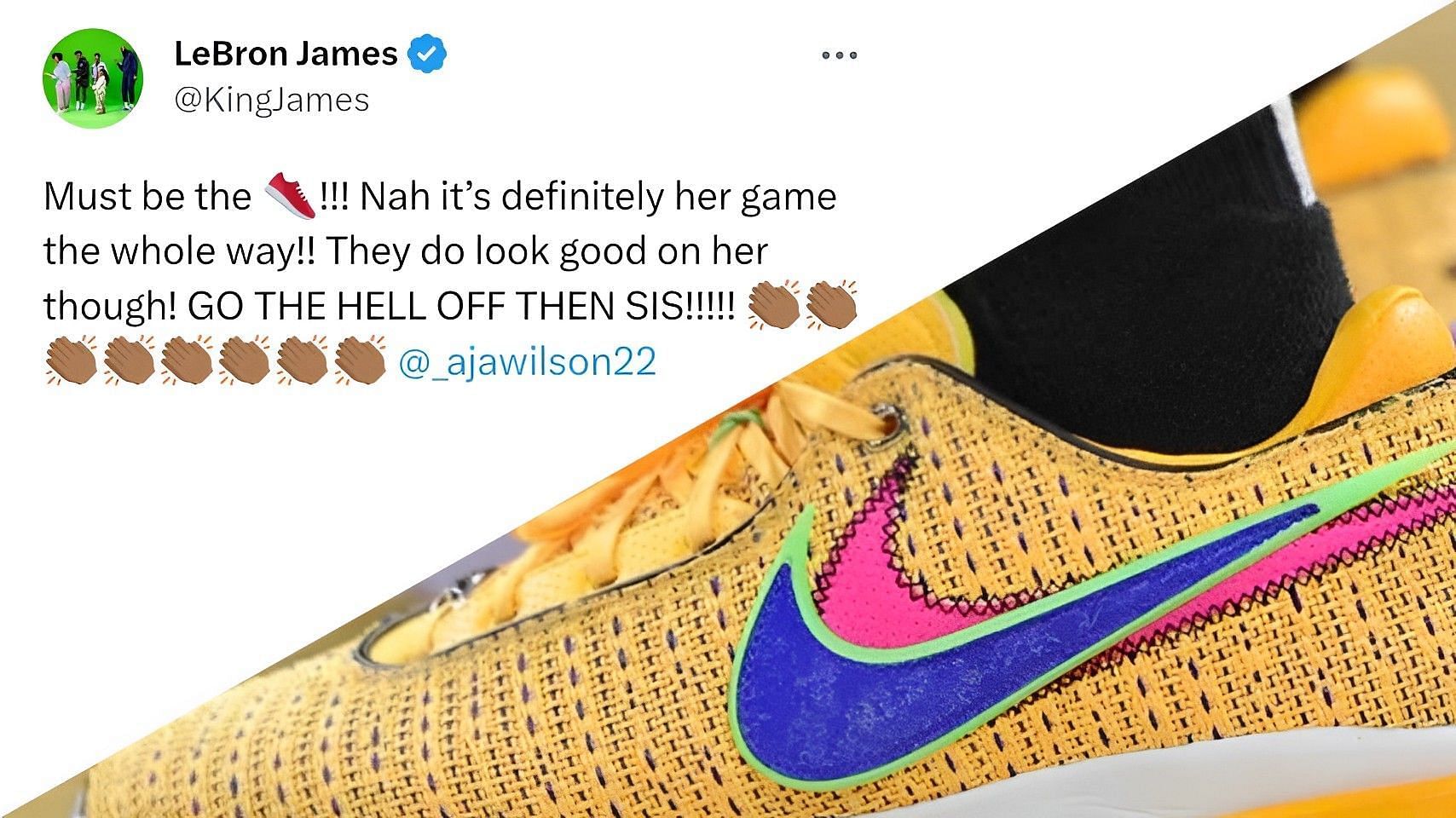 &quot;GO THE HELL OFF THEN SIS&quot;: LeBron James lauds A&rsquo;ja Wilson