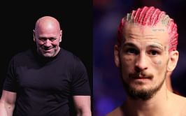 Dana White discloses records broken by UFC 292 as a testament of Sean O'Malley's massive star power - "He IS a star"