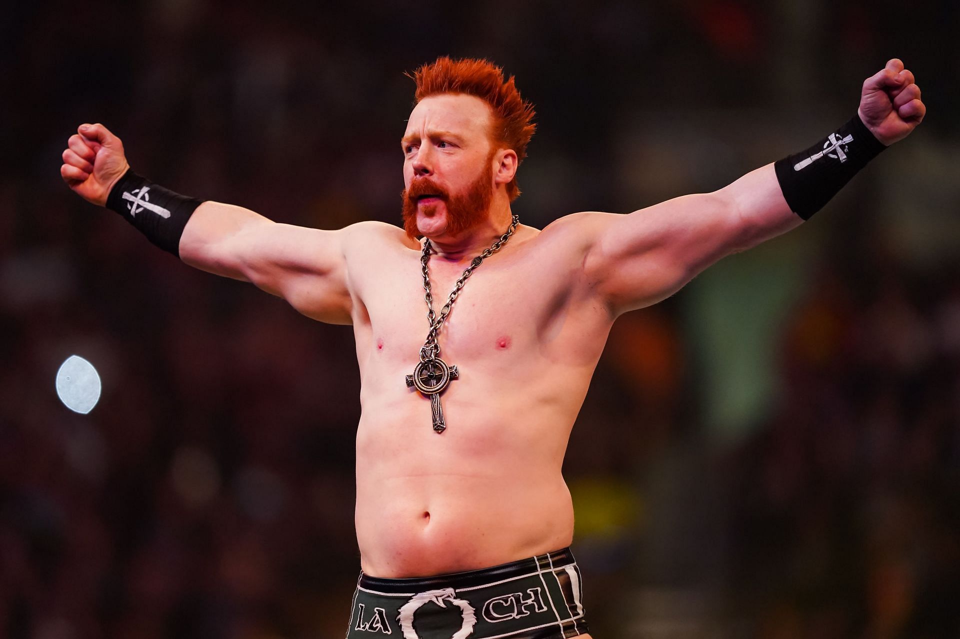Sheamus is a four-time world champion
