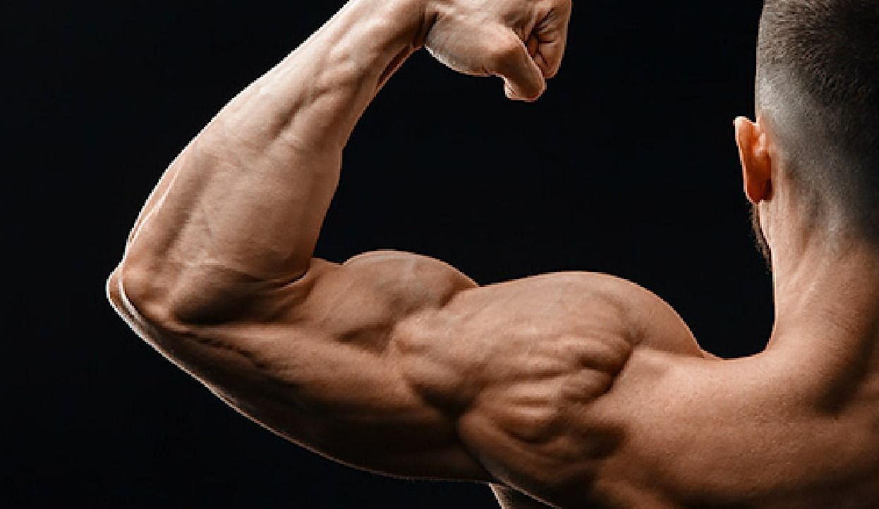 Muscle mass (Image via Getty Images)
