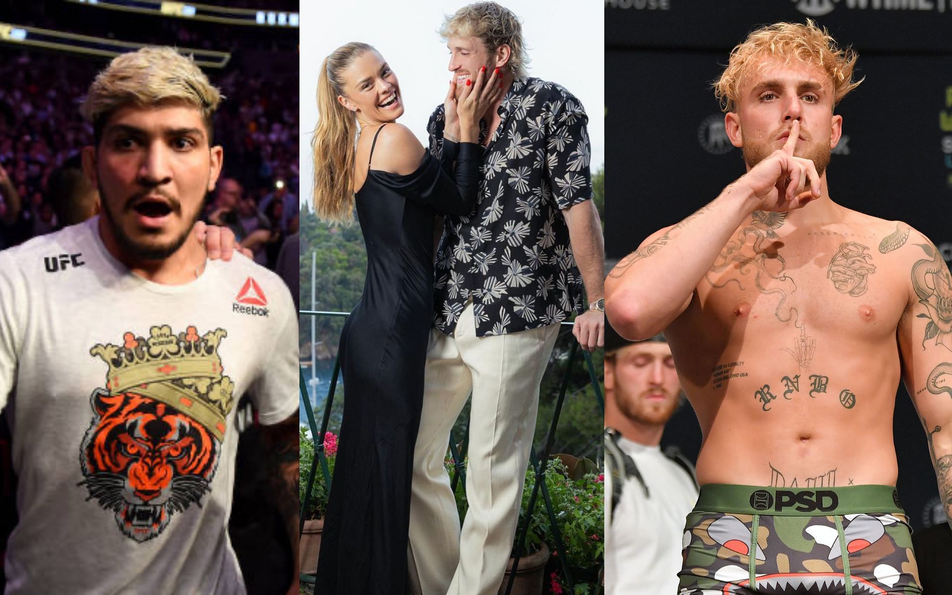 Logan Paul: Dillon Danis berates Jake Paul for staying silent while Nina  Agdal and Logan Paul deal with his promotional tactics - 