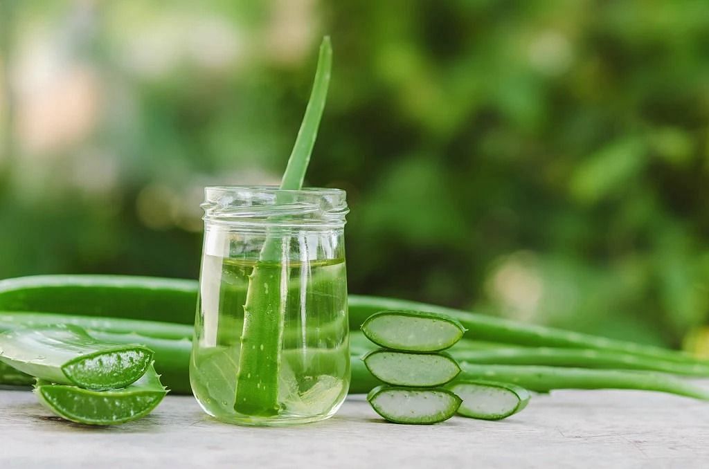 Aloe vera for sunburn (Image via Getty Images)